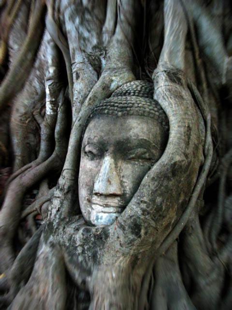 Somjai Place Ayutthaya Zewnętrze zdjęcie